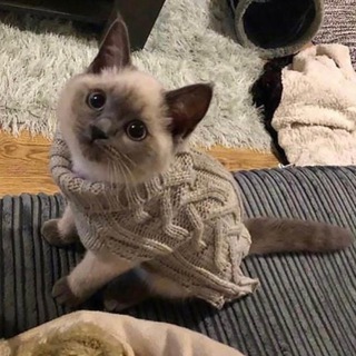 Логотип телеграм канала @wbshares — Смотри, что нашла
