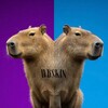 Логотип телеграм канала @wbskin — Находки Wb/Ozon