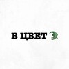 Логотип телеграм канала @wbtort — В ЦВЕТ 🐊