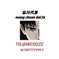 Logo saluran telegram wcdf01 — ✈️✈️忘川/频道群组上粉/群管机器人
