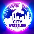 Logo saluran telegram wcityir — WrestlingCity | رسلینگ سیتی