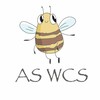 Логотип телеграм канала @wcsdance_aleks — wcsdance_aleks 🐝