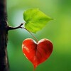 Логотип телеграм канала @wdohnowenie — Вдохновение🍁