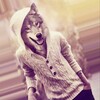 Logo of telegram channel wdxdbshack — NstnbdD