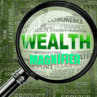 Logo of telegram channel wealthmagnifier — Wealth Magnifier