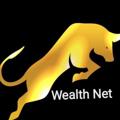 Logo saluran telegram wealthnet — Wealth Net