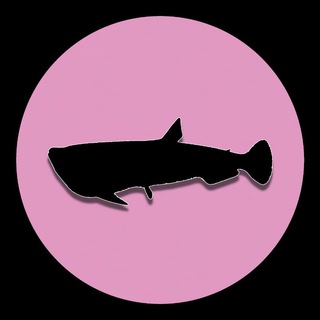 Логотип телеграм канала @wearepayara — ПАЯРА パヤラ