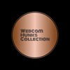 Логотип телеграм канала @webcam_hunks_collection — Webcam Hunks Collection