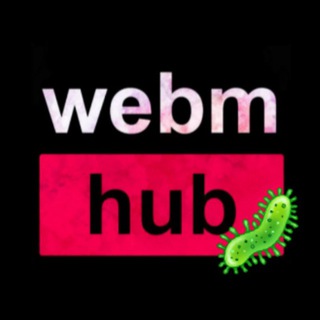 Логотип телеграм канала @webmhub — WebmHub
