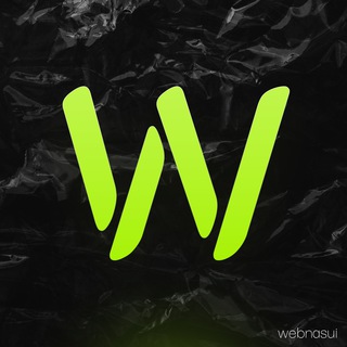 Логотип телеграм канала @webnasui — Насмотренность в Web ⚡️