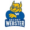 Логотип телеграм канала @webster_secret — Webster Secret
