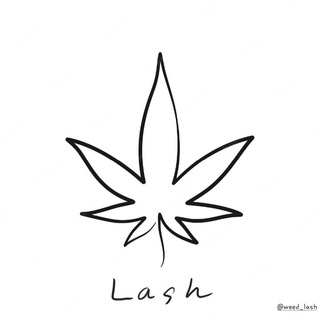 لوگوی کانال تلگرام weed_lash — Weed Lash 🏴