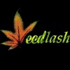 لوگوی کانال تلگرام weedlashyaa — weedlashian | ویدلش