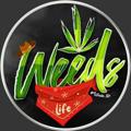 Logo saluran telegram weeds_life — Weeds Life 🌿🔞