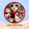 Logo of telegram channel weekcats — Week With Cats
