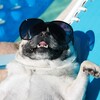 Логотип телеграм канала @weekend_tourism — weekend_tourism