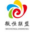 Logo des Telegrammkanals weihenglianmengpindao - 灰产搭建-交易所搭建-软件开发
