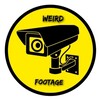 Logo of telegram channel weirdfootage — WEIRD FOOTAGE 🎥