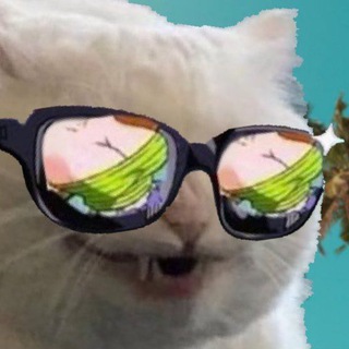 Logo of telegram channel weirdoschart — Weirdos Chart🤝