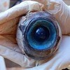 Telegram channel 奇闻异事|未解之谜|神秘事件|未知生物👽 logo