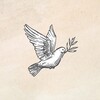Логотип телеграм канала @welcome_to_eden — ✨Эдем это наслаждение✨