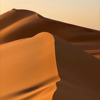 Логотип телеграм канала @welcometosaudi — Саудовская Аравия - Что нового ?