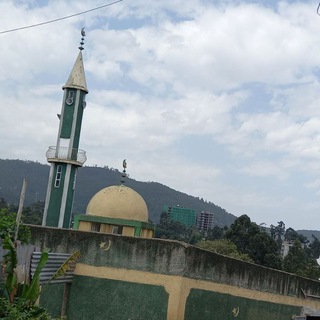 የቴሌግራም ቻናል አርማ weli_mohammed_mesjid — የሼህ ወሊ መሀመድ (አዋሬ) መስጂድ