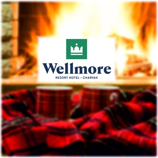 Логотип телеграм канала @wellmoreresorthotel — Wellmore Resort Hotel