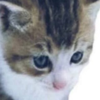 Логотип телеграм канала @welobsters — генрих пошел нахуй