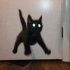 Логотип телеграм канала @welovereeds — GIFs kamysh🫶🏻