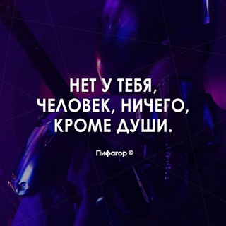 Логотип телеграм канала @wertfeq — 56иТрийэуЛзигоенИгерТюйт🐊📲🗜☎️🦅🐝🦏🦈🦀🦐🦑🕸🦂