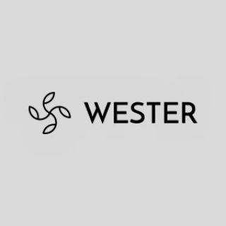 Логотип телеграм канала @wes1err — Wester