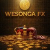 Logo of telegram channel wesongafx — WESONGA FX GOLD