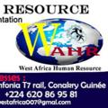 Logo de la chaîne télégraphique westafricahuman - WEST AFRICA HUMAN RESOURCES