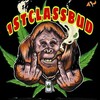 Telegram channel WEST COAST FIRST CLASSBUD logo