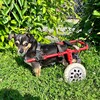 Telegram channel Помощь животным/Helping animals logo