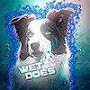 Logo of telegram channel wetdogss — 𝙬𝙚𝙩 𝙙𝙤𝙜𝙜𝙮🌊🫶🏼