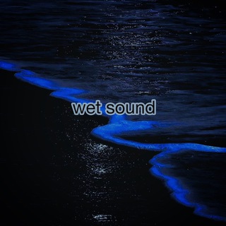 Логотип телеграм канала @wetsoundw — wet sound 🎧