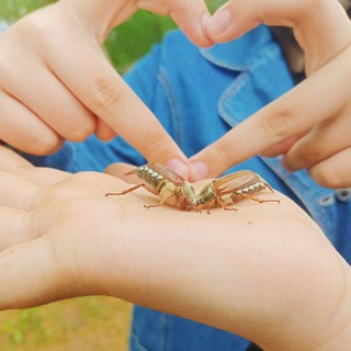 Логотип телеграм канала @wewexds — Мои сериалы)