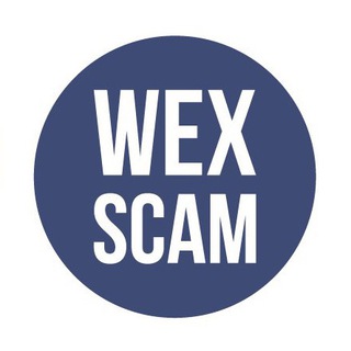Логотип телеграм канала @wexiniciative — Wex.nz Инициативная Группа