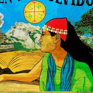 Logotipo del canal de telegramas weychafezomo - Moira Millán informa