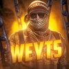 Логотип телеграм канала @weyts_cm — CM / Weyts