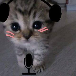 Логотип телеграм канала @wgfackk — cat