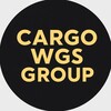 Telegram channel WGS - Guseynov logo