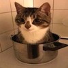 Логотип телеграм канала @wh1tebazzar — Белый базар