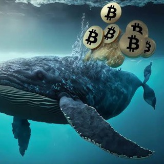 Логотип телеграм канала @whaie_crypto — Whale Crypto