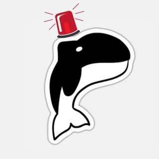 Logo of telegram channel whale_alert4 — Whale Alert 🚨🚨🚨