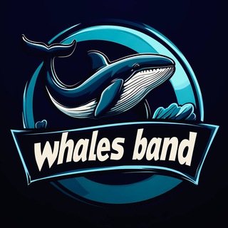 Логотип телеграм канала @whale_band — WHALES BAND