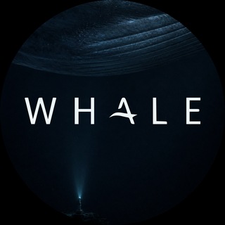 Telegram channel Whale 🐋 logo
