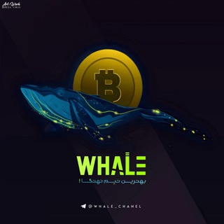 لوگوی کانال تلگرام whale_chanel — Wʜᴀʟᴇ | 💵 | سیگنال رایگان - کسب درآمد دلاری